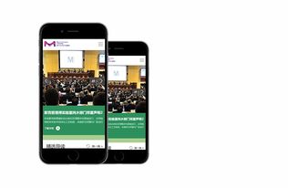 默克blog 高端網(wǎng)站建設(shè)案例 上海雍熙