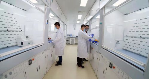 煙臺業達孵化中心入孵企業ADC新藥申報臨床，區域生物技術研發迎來新突破