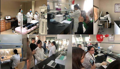 一手緊抓檢測試劑，一手研發智能終端 源生康泰雙管齊下的生物技術攻堅戰